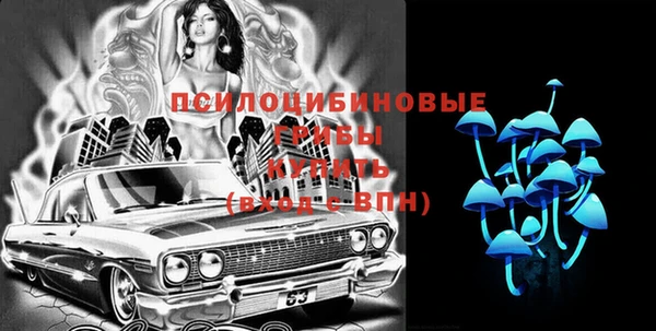 молекула духа Протвино