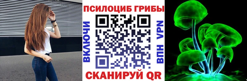 Псилоцибиновые грибы мицелий  наркота  Никольское 